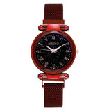 Ladies watch luminous Starry Sky Women's Watches Milanese Quartz Mesh With Magnetic Buckle decoration Girls gifts reloj mujer
