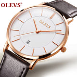 OLEVS Men's Watches Top Brand Luxury Men Sport Wristwatch Waterproof 30m Ultrathin Quartz Watch Date Clock Male Leather Watches
